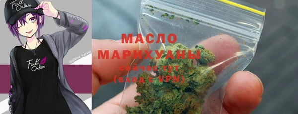 мдма Ельня