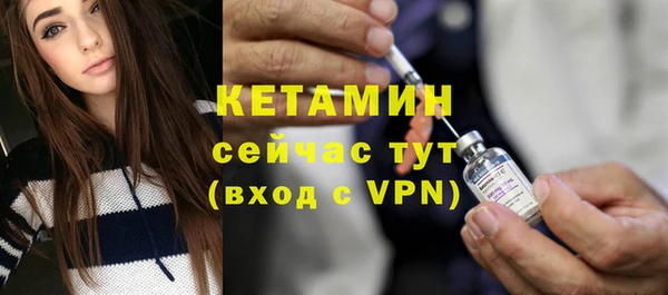 шишки Дмитров