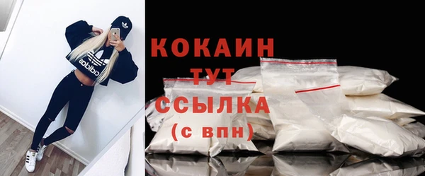 ПСИЛОЦИБИНОВЫЕ ГРИБЫ Заволжье