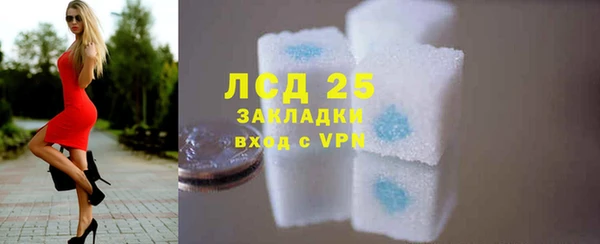ПСИЛОЦИБИНОВЫЕ ГРИБЫ Заволжье