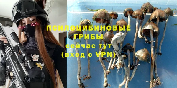 винт Калининец