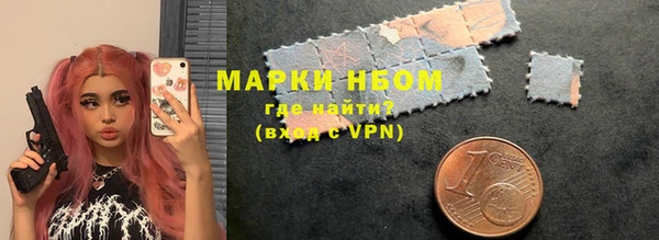 ПСИЛОЦИБИНОВЫЕ ГРИБЫ Заволжье