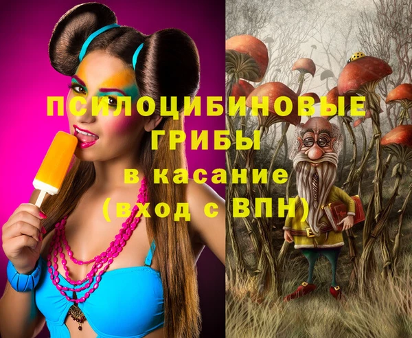 сатива Заволжск